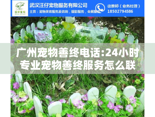 广州宠物善终电话:24小时专业宠物善终服务怎么联系?