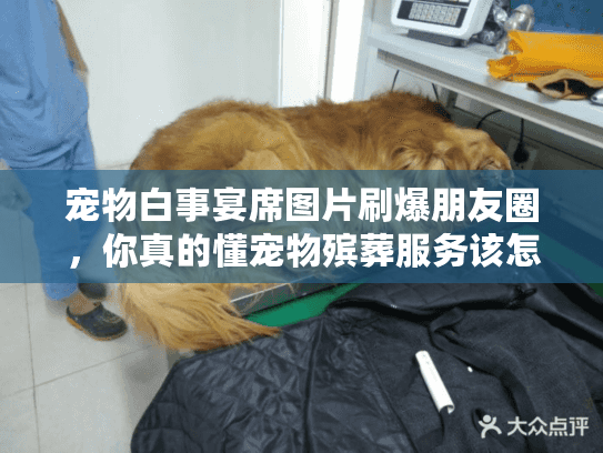 宠物白事宴席图片刷爆朋友圈，你真的懂宠物殡葬服务该怎么选吗？