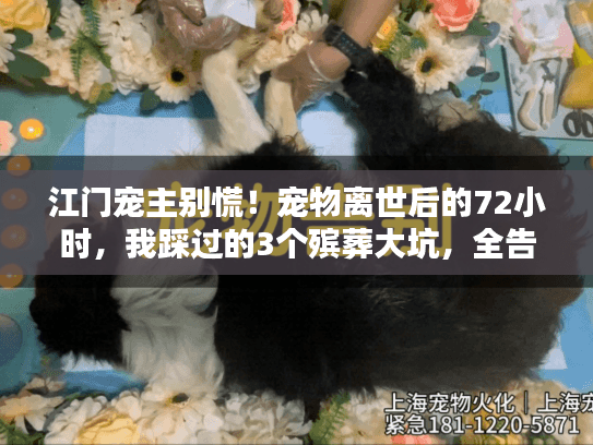 江门宠主别慌！宠物离世后的72小时，我踩过的3个殡葬大坑，全告诉你