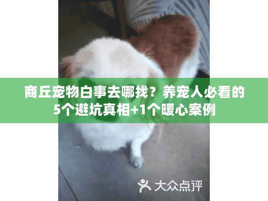 商丘宠物白事去哪找？养宠人必看的5个避坑真相+1个暖心案例