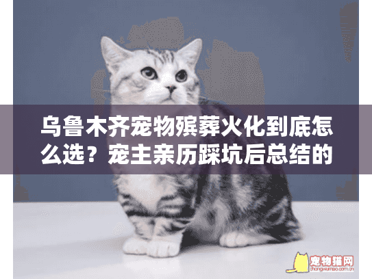 乌鲁木齐宠物殡葬火化到底怎么选？宠主亲历踩坑后总结的8个真相