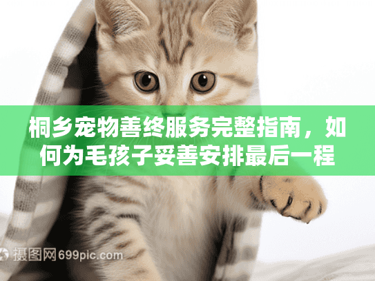 桐乡宠物善终服务完整指南，如何为毛孩子妥善安排最后一程？