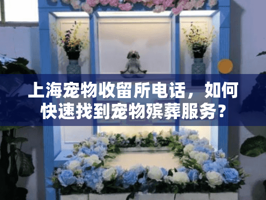上海宠物收留所电话，如何快速找到宠物殡葬服务？