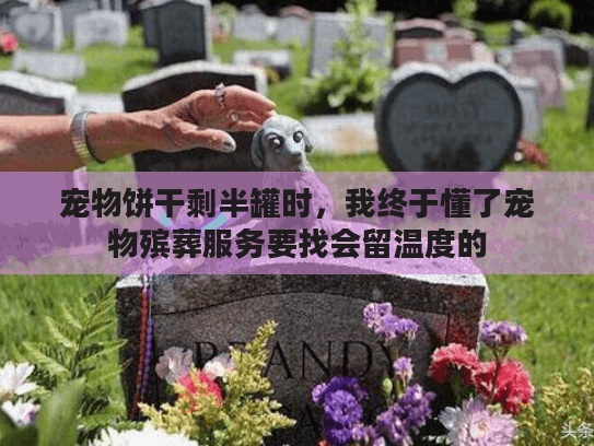 宠物饼干剩半罐时，我终于懂了宠物殡葬服务要找会留温度的