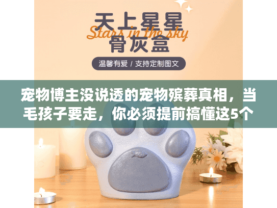 宠物博主没说透的宠物殡葬真相，当毛孩子要走，你必须提前搞懂这5个坑