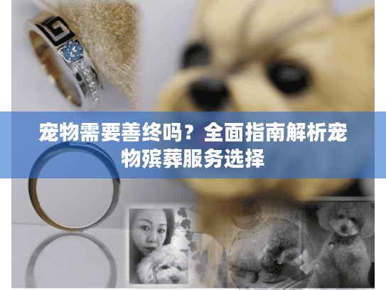 宠物需要善终吗？全面指南解析宠物殡葬服务选择