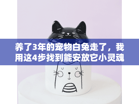 养了3年的宠物白兔走了，我用这4步找到能安放它小灵魂的殡葬服务