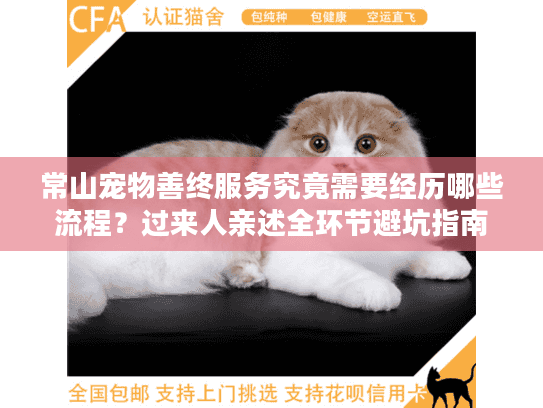 常山宠物善终服务究竟需要经历哪些流程？过来人亲述全环节避坑指南