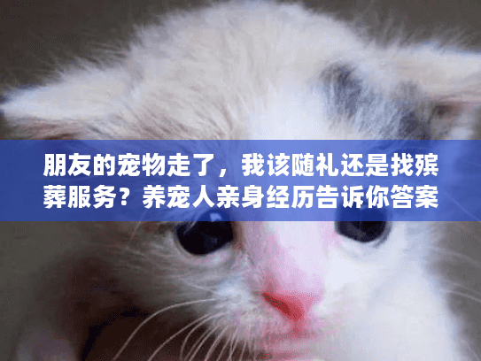 朋友的宠物走了，我该随礼还是找殡葬服务？养宠人亲身经历告诉你答案