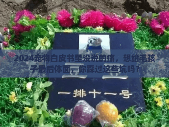 2024宠物白皮书里没说的痛，想给毛孩子最后体面，你踩过这些坑吗？