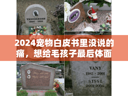 2024宠物白皮书里没说的痛，想给毛孩子最后体面，你踩过这些坑吗？