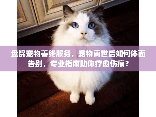 盘锦宠物善终服务，宠物离世后如何体面告别，专业指南助你疗愈伤痛？