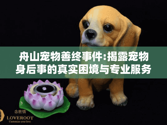 舟山宠物善终事件:揭露宠物身后事的真实困境与专业服务选择指南