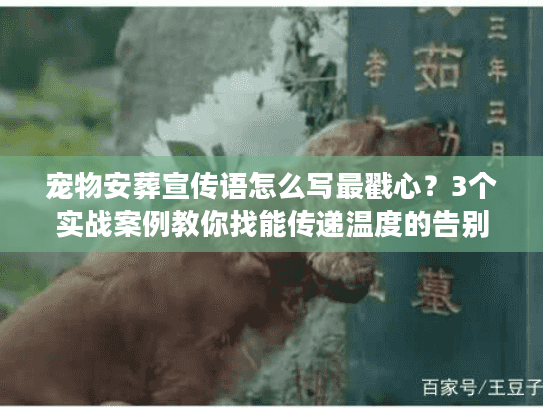 宠物安葬宣传语怎么写最戳心？3个实战案例教你找能传递温度的告别话术