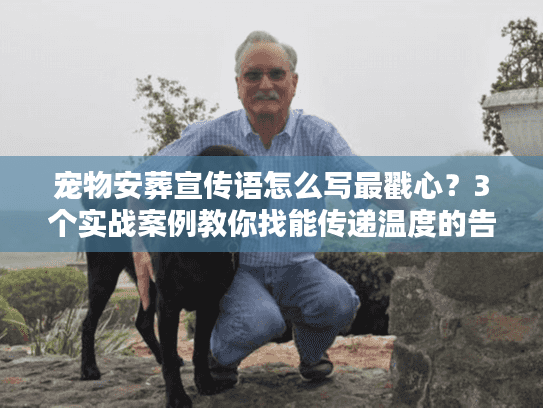 宠物安葬宣传语怎么写最戳心？3个实战案例教你找能传递温度的告别话术