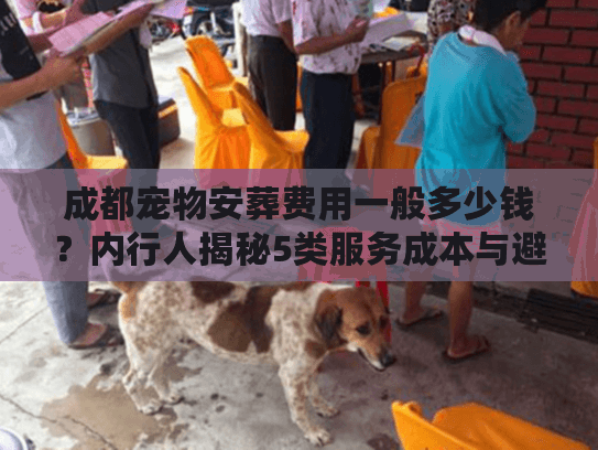 成都宠物安葬费用一般多少钱？内行人揭秘5类服务成本与避坑指南