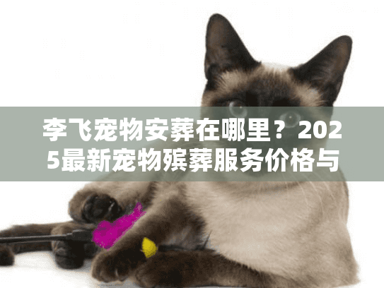 李飞宠物安葬在哪里?2025最新宠物殡葬服务价格与选址全解析 李飞宠物安葬在哪里?2025最新宠物殡葬服务价格与选址全解析