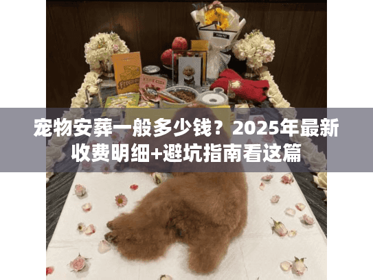 宠物安葬一般多少钱？2025年最新收费明细+避坑指南看这篇