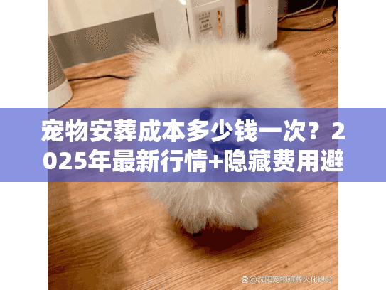 宠物安葬成本多少钱一次？2025年最新行情+隐藏费用避坑全解析