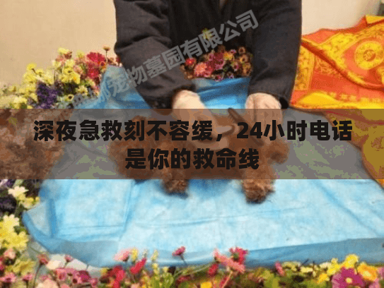 深夜急救刻不容缓，24小时电话是你的救命线