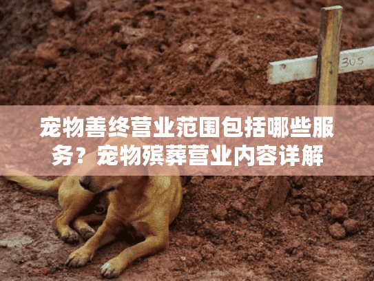 宠物善终营业范围包括哪些服务？宠物殡葬营业内容详解
