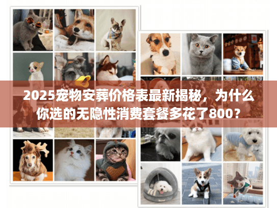 2025宠物安葬价格表最新揭秘，为什么你选的无隐性消费套餐多花了800？