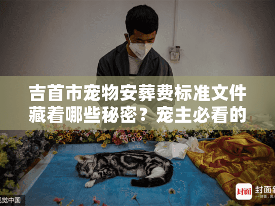 吉首市宠物安葬费标准文件藏着哪些秘密？宠主必看的收费真相与避坑指南