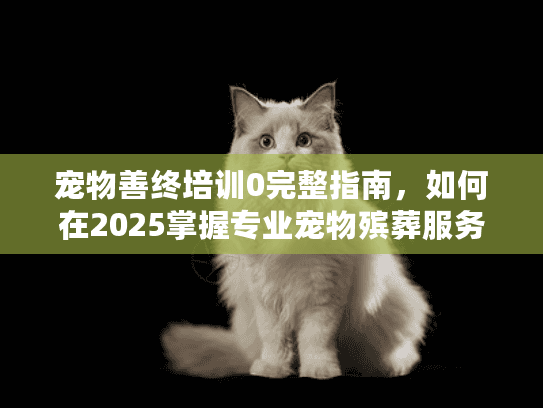 宠物善终培训0完整指南，如何在2025掌握专业宠物殡葬服务技能
