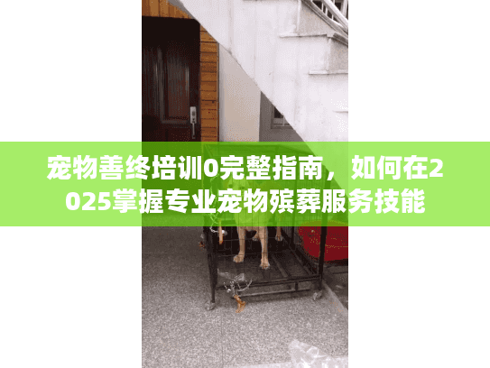 宠物善终培训0完整指南，如何在2025掌握专业宠物殡葬服务技能