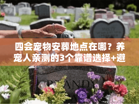 四会宠物安葬地点在哪？养宠人亲测的3个靠谱选择+避坑清单
