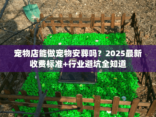宠物店能做宠物安葬吗？2025最新收费标准+行业避坑全知道
