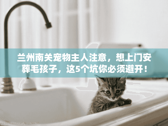 兰州南关宠物主人注意，想上门安葬毛孩子，这5个坑你必须避开！
