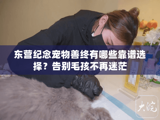 东营纪念宠物善终有哪些靠谱选择？告别毛孩不再迷茫