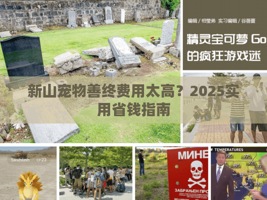 新山宠物善终费用太高？2025实用省钱指南