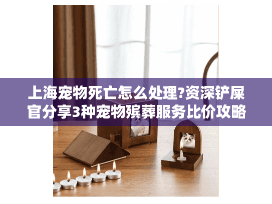 上海宠物死亡怎么处理?资深铲屎官分享3种宠物殡葬服务比价攻略