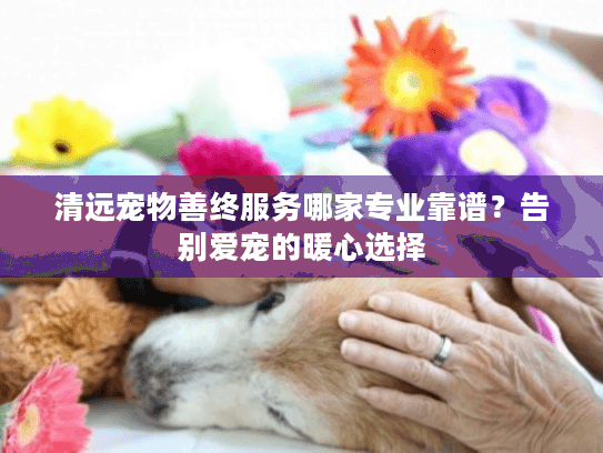 清远宠物善终服务哪家专业靠谱？告别爱宠的暖心选择
