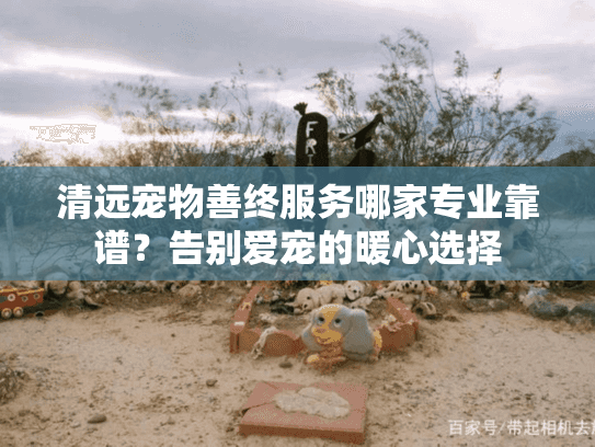 清远宠物善终服务哪家专业靠谱？告别爱宠的暖心选择