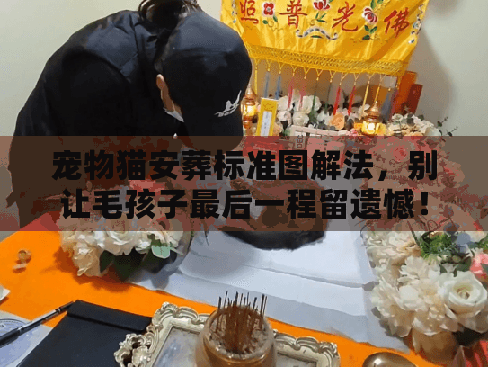 宠物猫安葬标准图解法，别让毛孩子最后一程留遗憾！这4个关键步骤你必须知道