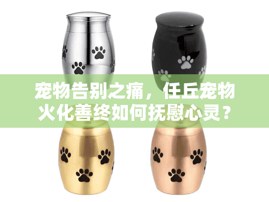 宠物告别之痛，任丘宠物火化善终如何抚慰心灵？