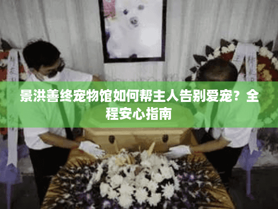 景洪善终宠物馆如何帮主人告别爱宠？全程安心指南
