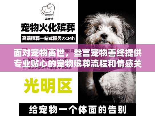 面对宠物离世，叁言宠物善终提供专业贴心的宠物殡葬流程和情感关怀