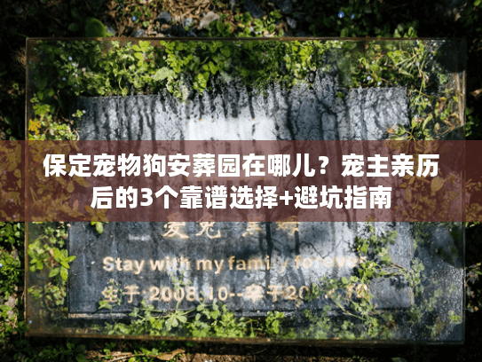 保定宠物狗安葬园在哪儿？宠主亲历后的3个靠谱选择+避坑指南