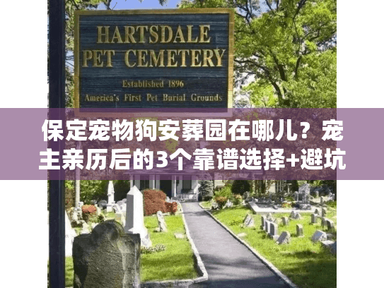 保定宠物狗安葬园在哪儿？宠主亲历后的3个靠谱选择+避坑指南