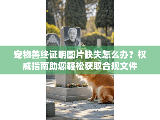 宠物善终证明图片缺失怎么办？权威指南助您轻松获取合规文件
