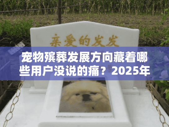 宠物殡葬发展方向藏着哪些用户没说的痛?2025年从业者都在盯这3条路 宠物殡葬发展方向藏着哪些用户没说的痛?2025年从业者都在盯这3条路