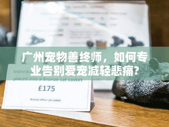 广州宠物善终师，如何专业告别爱宠减轻悲痛?