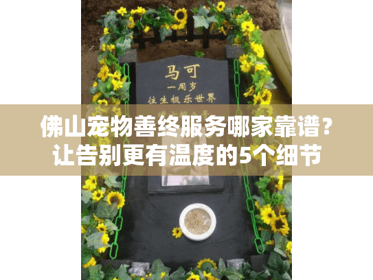佛山宠物善终服务哪家靠谱？让告别更有温度的5个细节
