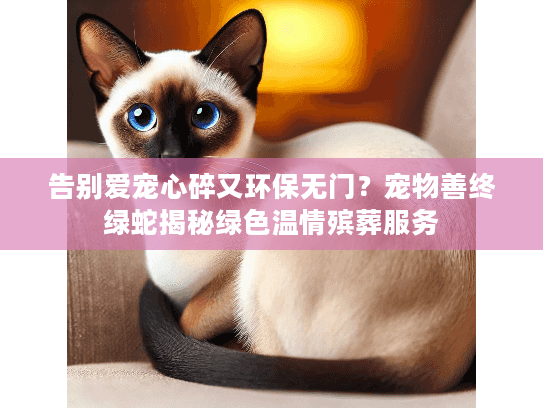 告别爱宠心碎又环保无门？宠物善终绿蛇揭秘绿色温情殡葬服务