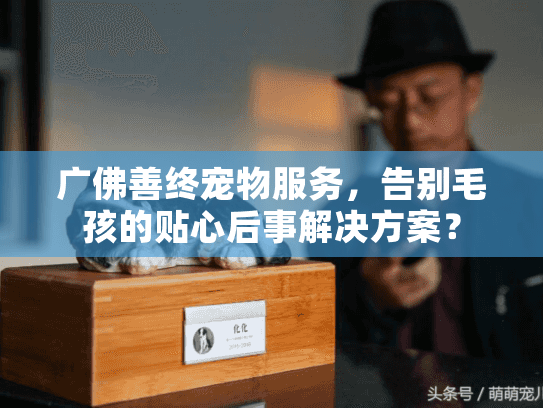 广佛善终宠物服务，告别毛孩的贴心后事解决方案？