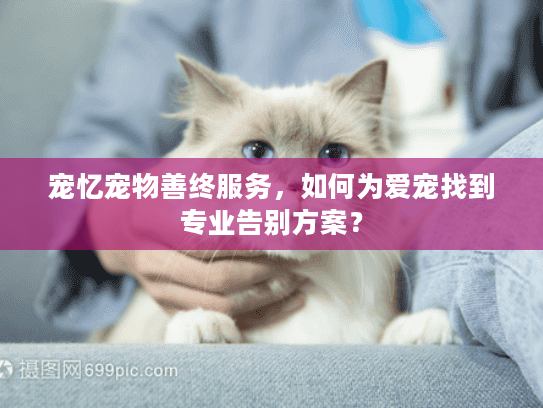宠忆宠物善终服务，如何为爱宠找到专业告别方案？
